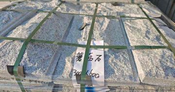 西藏芝麻白蘑菇石，自然面