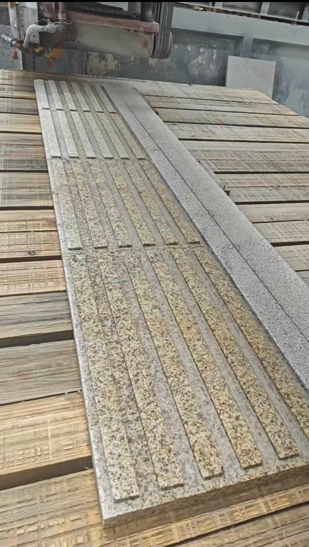 西藏黄金麻盲道石 盲条